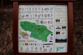 galeria