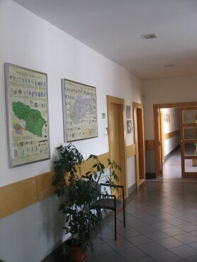 galeria