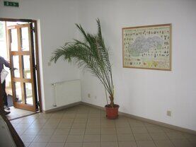 galeria
