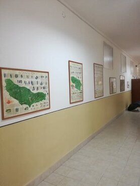 galeria