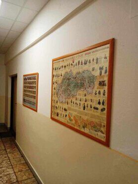 galeria