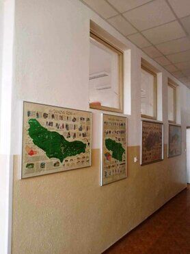 galeria