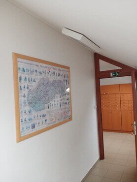galeria