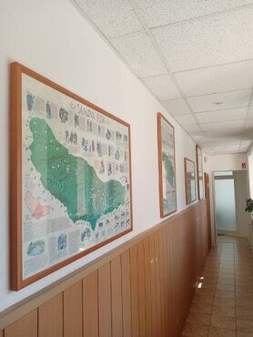 galeria